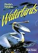 Florida's Fabulous Waterbirds: Their Stories