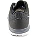 Nike Women's Fs Lite Run 3 Running Shoe