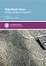 Book High-Strain Zones: Structure and Physical Properties