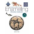Beginner's Guide to Enamelling (Beginner's Guide to)
