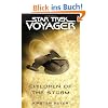 Star Trek Voyager: Children of the Storm