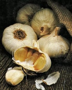 great glorious garlic recipes - kelvina lagozzi great glorious garlic recipes - kelvina lagozzi
