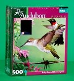 Ruby-throated Hummingbird 500p
