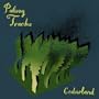 Cedarland