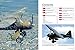 Westland Lysander Manual 1936-44 (all marks): An insight into owning, flying and maintaining the RAF's famous World War 2 'cloak-and dagger' spy plane (Haynes Owners Workshop Manuel)