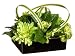 Lemon- Lime Daisy Floral Design- ARWF2944