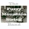 Contemporary String Bands