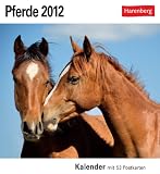 Pferde 2012: 53 Postkarten - 