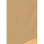 Leather Look Camel Futon Cover Full 151
