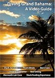 Diving Grand Bahama: A Video Guide