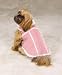 PINK - XX-LARGE - Aspen Dog Coat