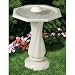 API 390 Water Rippling Bird Bath with Pedestal and Water Wiggler