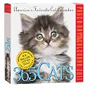 365 Cats 2011 Calendar