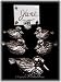 6 Silver plated Duck Place Card Holders