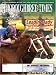 Thoroughbred Times