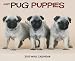Just Pug Puppies 2010 Calendar