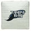 Tampa Bay Devil Rays Mini Base