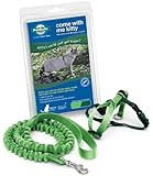 Petsafe Come With Me Kitty Harness and Bungee Leash, Medium, Electric Lime