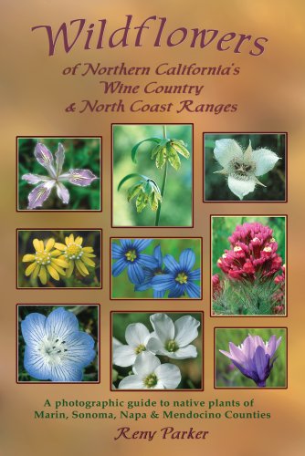 Wildflowers of Northern California's Wine Country & North Coast Ranges