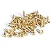BQLZR Golden Guitar Bass Pickguard Screw For Electric Guitar Pack of 50