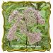 Sweet Joe Pye Weed (Eupatorium purpureum) Jumbo Wildflower Seed Packet - 800 Seeds