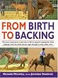From Birth to Backing: The Complete Handling of the Young Horse