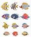 Tropical Fish Magnets
