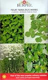 Burpee 4 Fabulous Herbs Seeds - Cilantro/Basil/Chives/Oregano