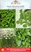 Outdoor Living : Burpee 4 Fabulous Herbs Seeds - Cilantro/Basil/Chives/Oregano