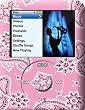 Flowers on Pink Design Apple iPod nano 3G (3rd Generation) 4GB/ 8GB Hard Case iJacket - Shock Absorbent Hard Protective Faceplate Cover + FREE Belt Clip Holster + FREE Lanyard + FREE Screen Protector