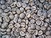 Kenya AA+ Karundul Coffee Beans Finest Auction Lot (Medium Roast (Full City +), 3 pounds Whole Beans)