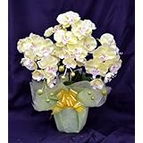 ���i�̏ڍ�