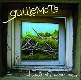 Through the Window Pane