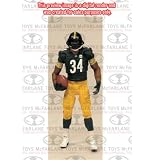McFarlane Toys Pittsburgh Steelers Rashard Mendenhall 2011 Playmaker