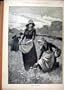 1888 Women Field Gathering Mushrooms Work Fine Art