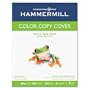 Hammermill 12254-9 Color Copy Cover Stock, 60-lb., 8-1/2 x 11, Photo White, 250 Sheets/pack