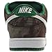 Nike Men's Dunk Low Premium SB Skate Shoe
