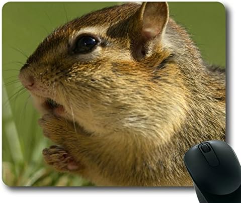 HOHOLALAY Chipmunk with A Full Cheek Poch Rectangle Mouse Pad,Mousepad,Mouse Mat