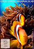 Korallenriff Aquarium