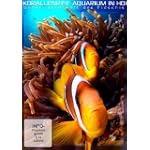 Korallenriff Aquarium