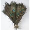 Peacock Feathers 100 Pcs (10"-12") with Kare & Kind� retail packaging