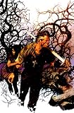Northlanders, Vol. 2: The Cross & The Hammer