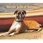 Boxers, For the Love of 2009 Deluxe Wall Calendar