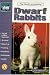 Guide to Owning Dwarf Rabbits (Guide to Owning A...)