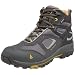 Vasque Men's Breeze LT GTX Light Hiking Shoe