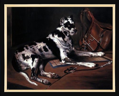 Bernard De Gempt Recumbant Great Dane - 16" x 20" Framed Premium Canvas Print