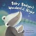 Baby Badger's Wonderful Night