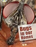 Bugs in our homes