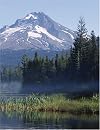 Living in the Environment - Principles for Understanding and Sustaining the Earth (An Introduction to Environmental Science)