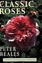 Classic Roses